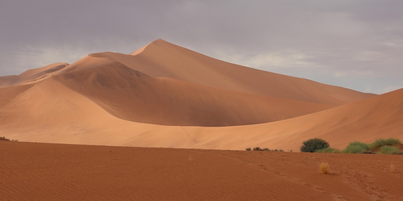 Esclusivo safari in volo tra paesaggi meravigliosi