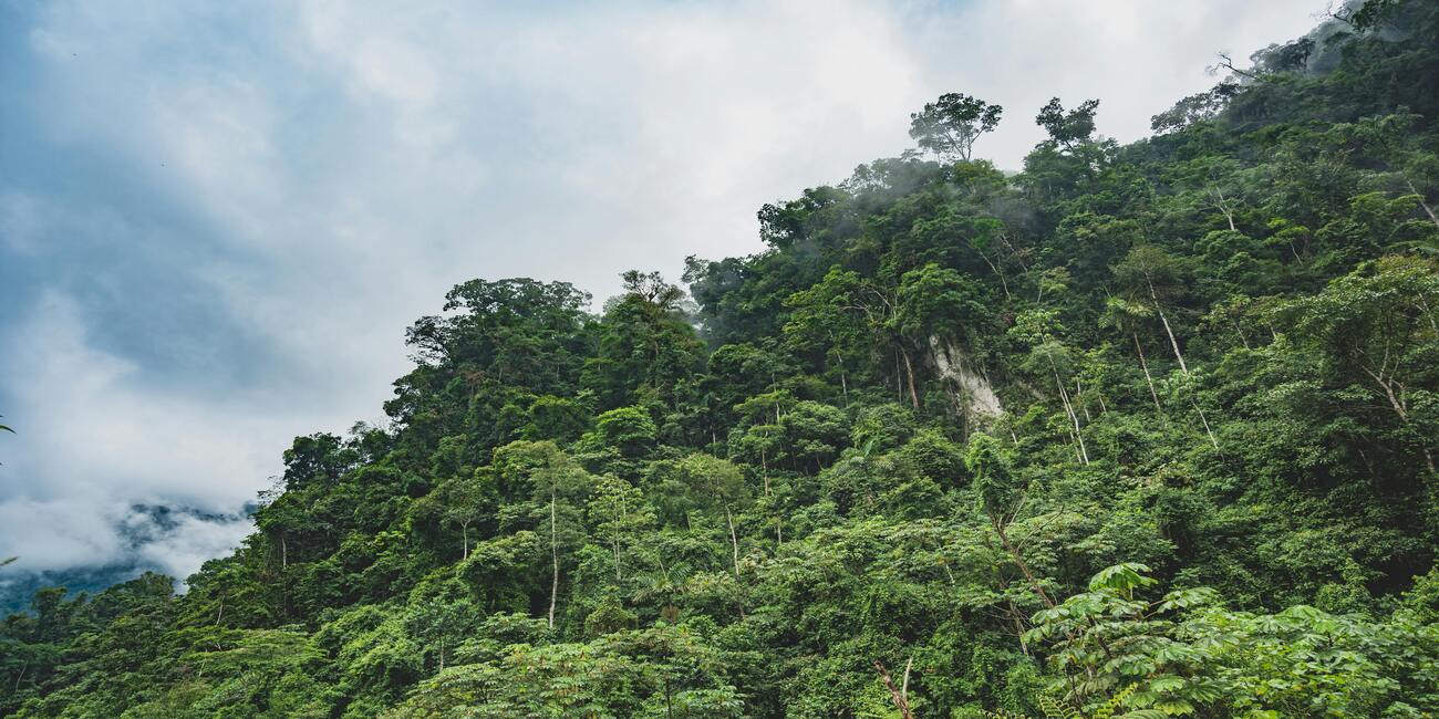 Tour del Borneo