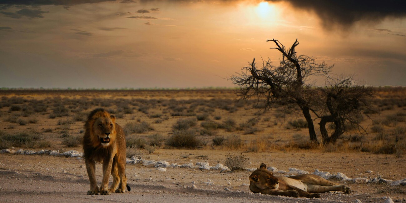 Namibia Tour di Gruppo 24.09.26-05.10.26