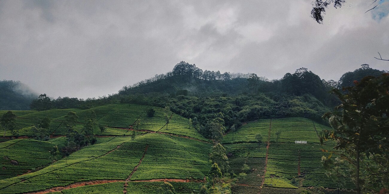 Easy Sri Lanka