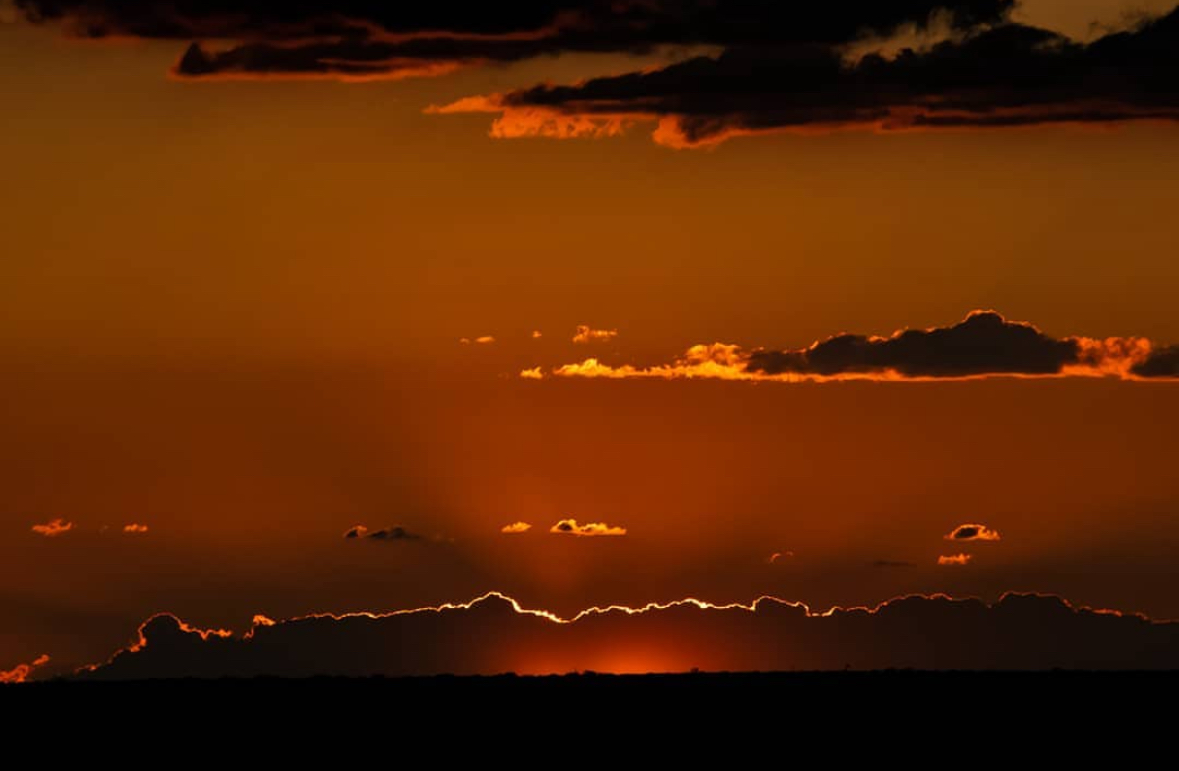 @wild.namibia.photography