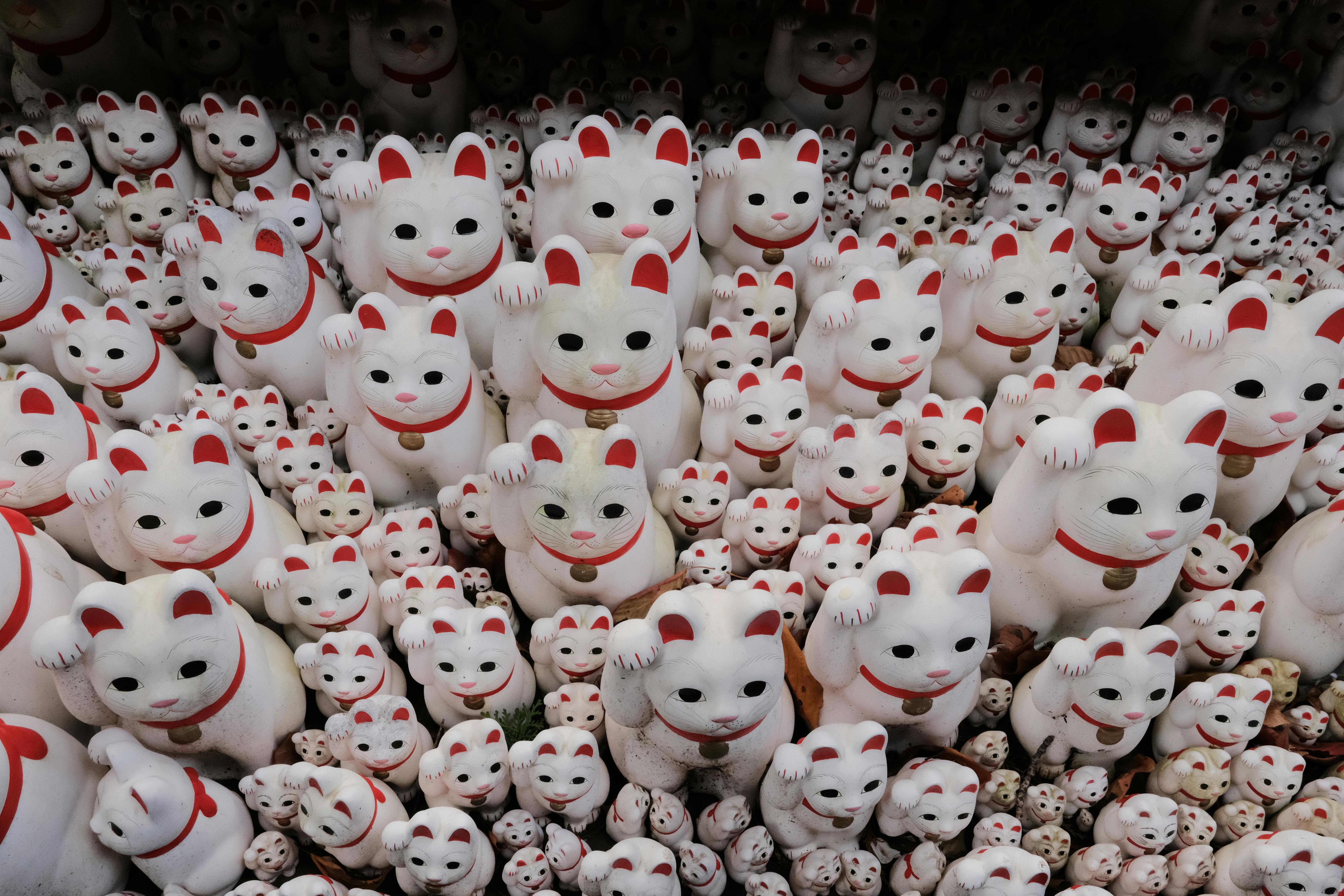 Tempio Gotoku-ji, Tokyo