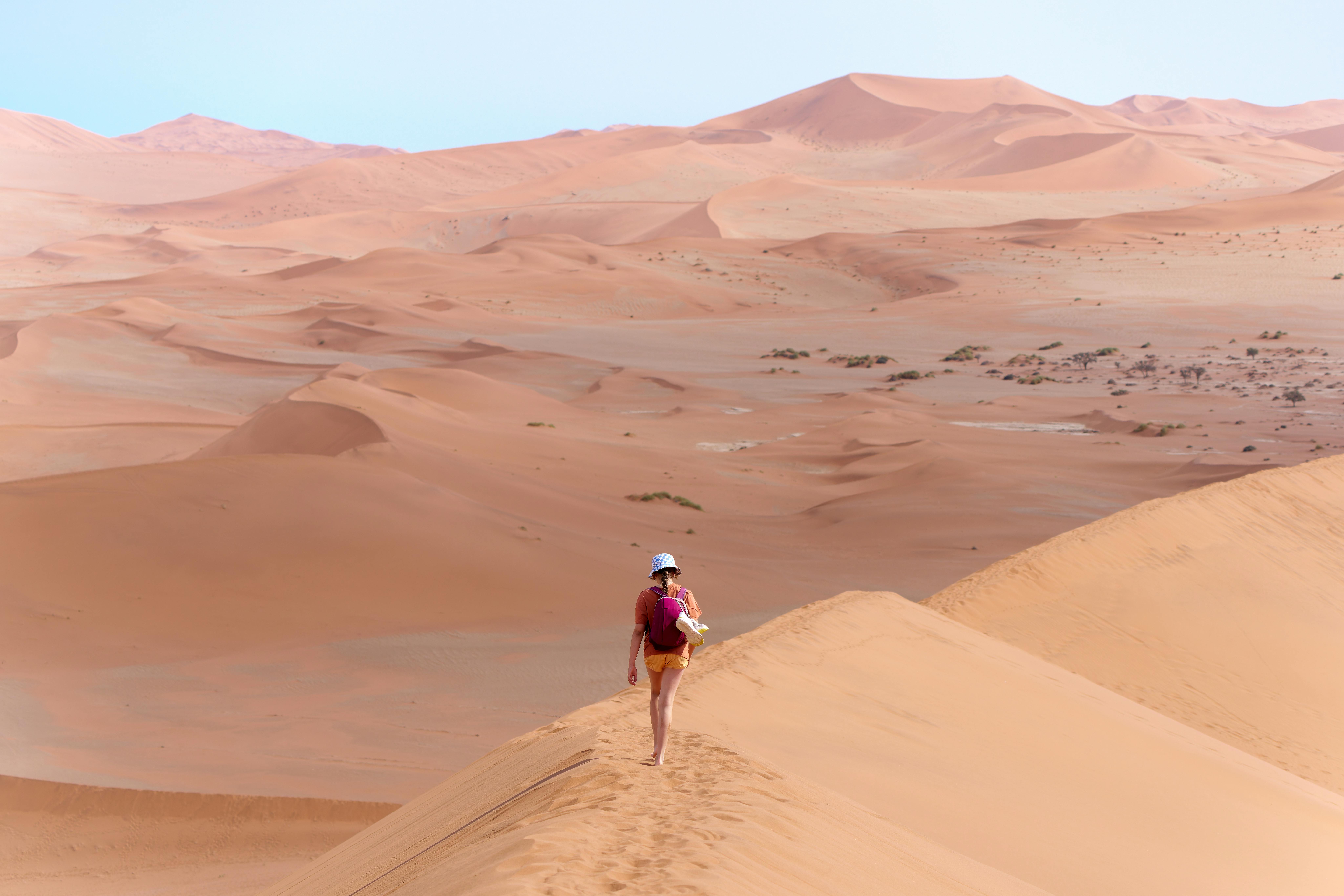 Deserto del Namib