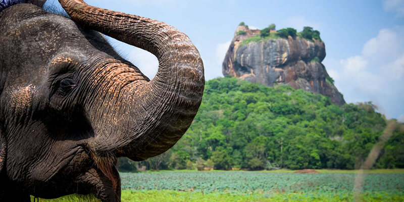 Sigiriya fortezza